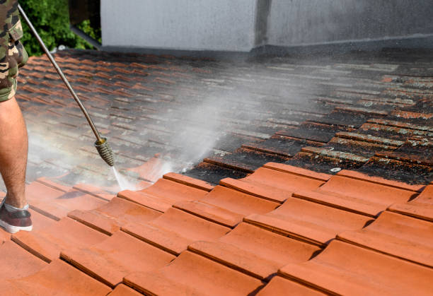 Best Best Pressure Washing Companies  in Milan, IN