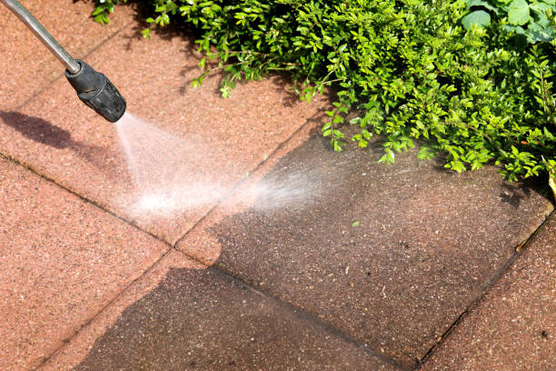 Best Commercial Building Pressure Washing  in Milan, IN